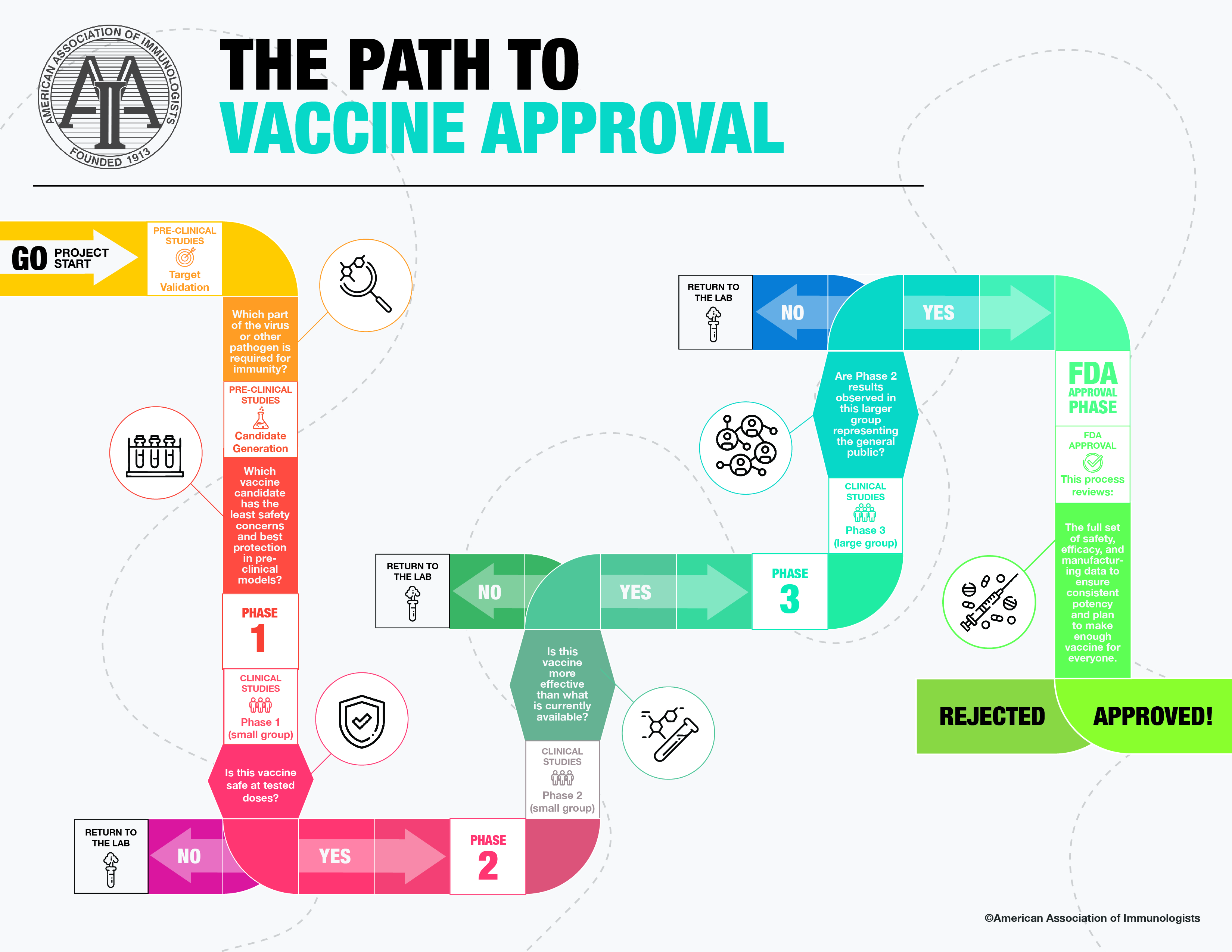 The Path to Vaccine Approval Infographic