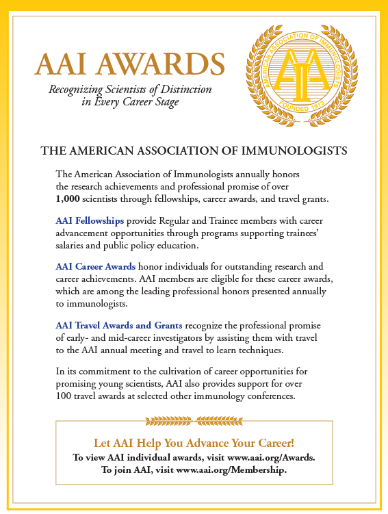 AAI Awards brochure