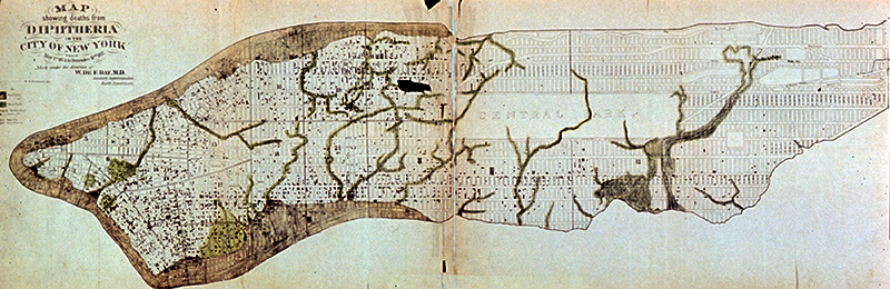 Map of deaths from Diphtheria, New York City, c. 1877, from <em>Pictures of New York life & character</em>