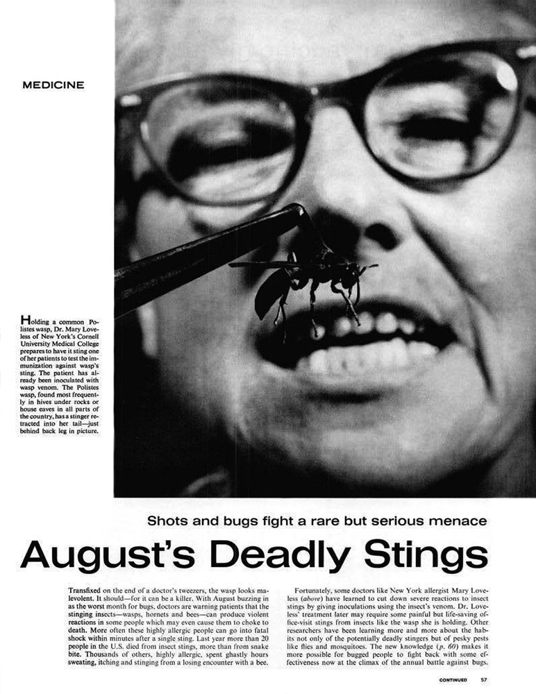 Loveless in “August’s Deadly Stings,” 1963