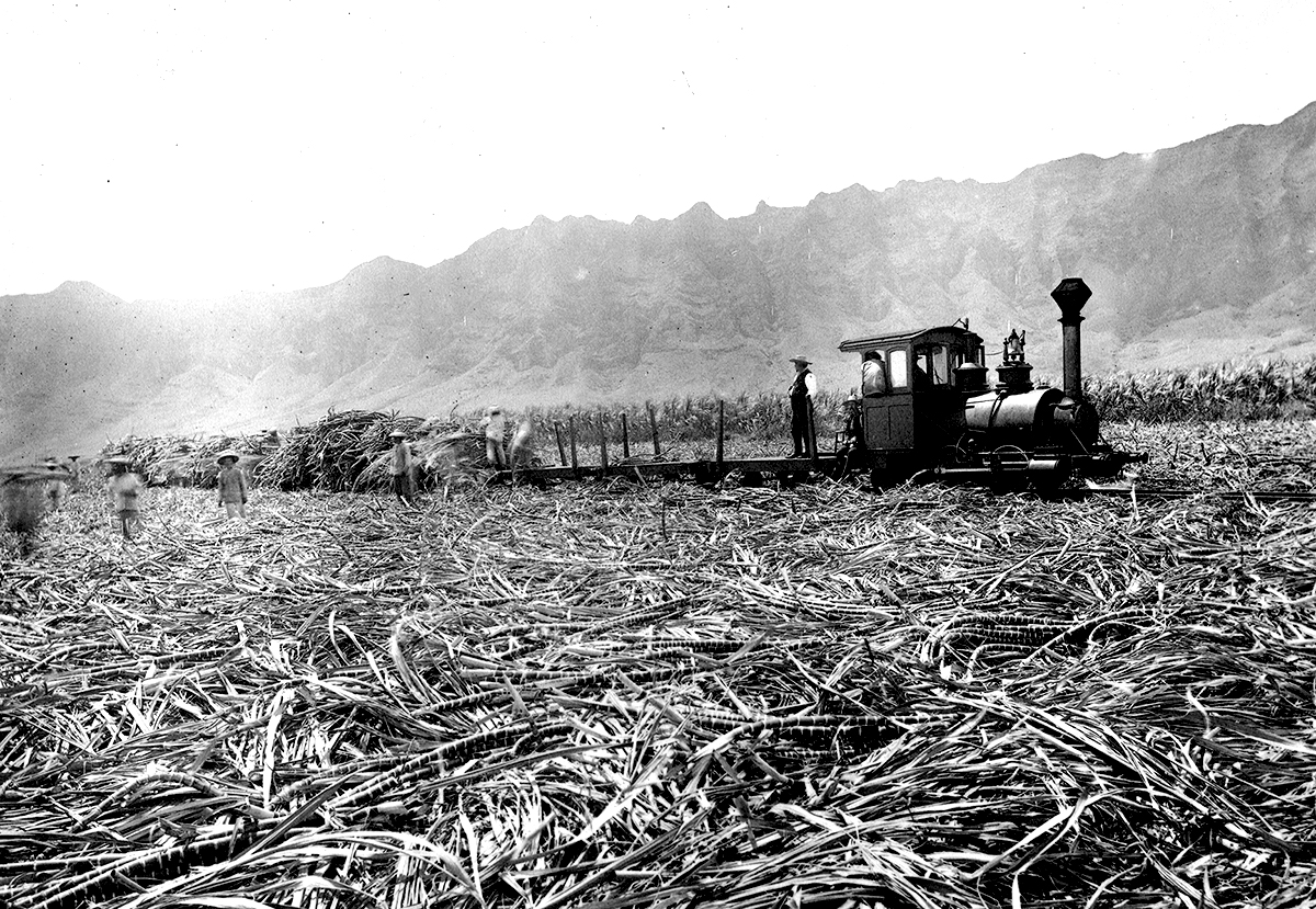 Waimanalo Sugar Company