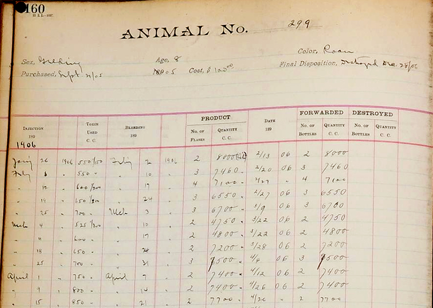 Serum Horse Record Book, NYC DOH, 1909
