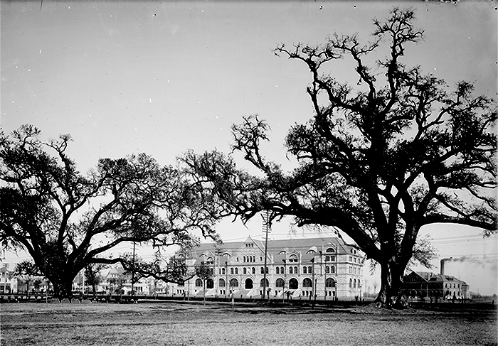Tulane University, c. 1900
