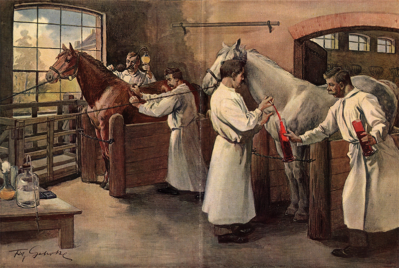Extraction of diphtheria serum from horse blood, Marburg, Germany, c. 1895