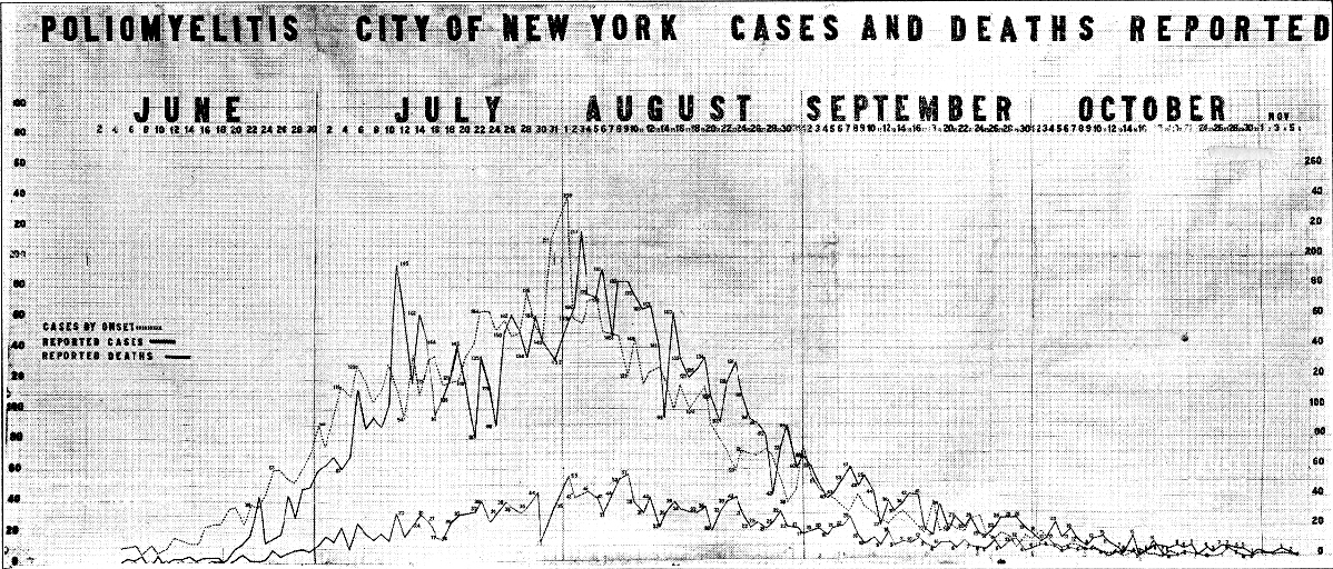 NY polio epidemic, 1916