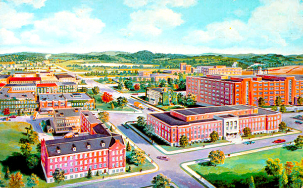 Postcard of Lederle Laboratories, c. 1955
