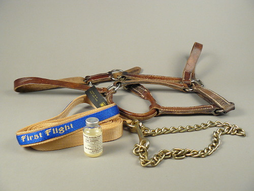 First Flight's Harness and Lead