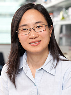 Yina H. Huang