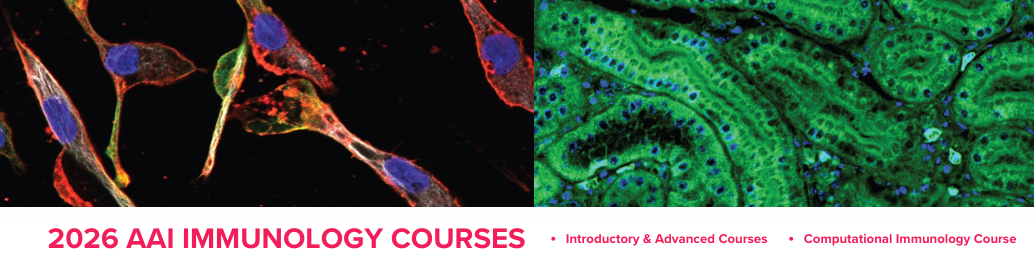 AAI IMMUNOLOGY COURSES
